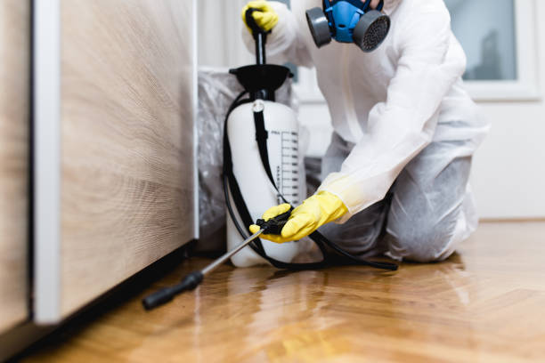 Best Bed Bug Extermination  in Eudora, KS