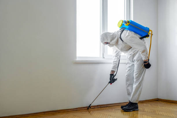 Best Mosquito Control Services  in Eudora, KS