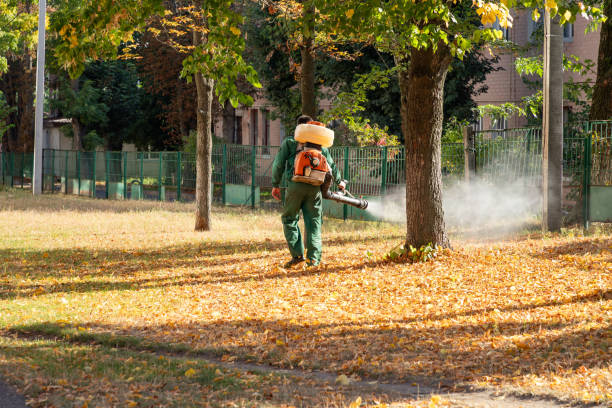 Best Pest Removal Services  in Eudora, KS